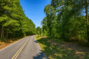 1.34-Acre Lot for Sale – Prime Location in Pine Bluff, AR