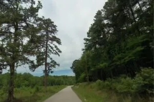 1.79 Acres in Danville, VA – A Spacious, Private Lot Ready for Your Vision