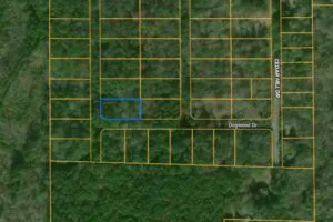 Build Your Dream Home or Weekend Getaway in Vance, Alabama!