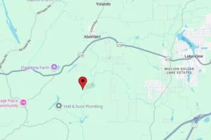 Build Your Dream Home or Weekend Getaway in Vance, Alabama!