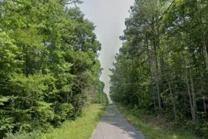 Build Your Dream Home or Weekend Getaway in Vance, Alabama!