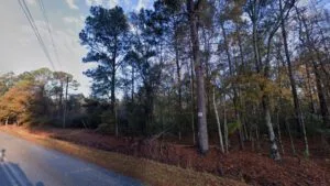 1-Acre Land in Pineland SC | Owner Financing Available
