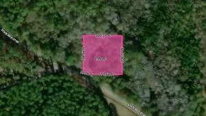 1-Acre Land in Pineland SC | Owner Financing Available
