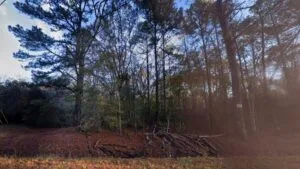 1-Acre Land in Pineland SC | Owner Financing Available