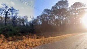1-Acre Land in Pineland SC | Owner Financing Available