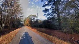 1-Acre Land in Pineland SC | Owner Financing Available