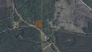 1-Acre Land in Pineland SC | Owner Financing Available