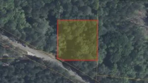 1-Acre Land in Pineland SC | Owner Financing Available