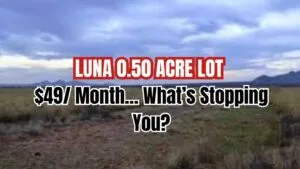 RV? Tiny Home? Cabin? This 0.50 Acre Land Lets You Do It All