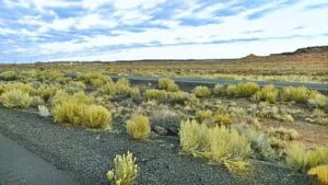 Grab Your 0.24 Acre Dream Land Now For Just $79/Down!