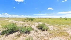 Do Not Ignore This 0.66 Acres Lot. Buy Now For Just $49/Down
