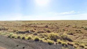 Rare Adjacent Lot Just $199/Down for 5 Acres