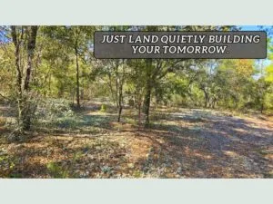 Your slice of peace, space, freedom is in Putnam County FL