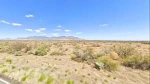 RV? Tiny Home? Cabin? This 0.50 Acre Land Lets You Do It All