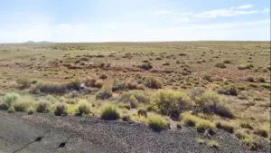 Rare Adjacent Lot Just $199/Down for 5 Acres