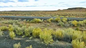 Grab Your 0.24 Acre Dream Land Now For Just $79/Down!