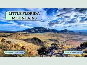 Do Not Ignore This 0.66 Acres Lot. Buy Now For Just $49/Down