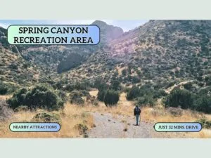 RV? Tiny Home? Cabin? This 0.50 Acre Land Lets You Do It All