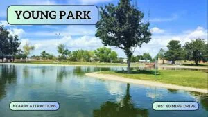 RV? Tiny Home? Cabin? This 0.50 Acre Land Lets You Do It All