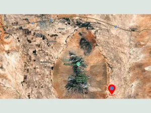 0.54 acres in Luna County, New Mexico