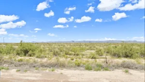 Do Not Ignore This 0.66 Acres Lot. Buy Now For Just $49/Down