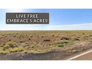 Rare Adjacent Lot Just $199/Down for 5 Acres