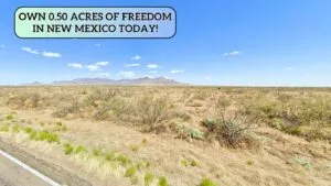 RV? Tiny Home? Cabin? This 0.50 Acre Land Lets You Do It All