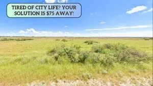 Do Not Ignore This 0.66 Acres Lot. Buy Now For Just $49/Down