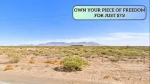 0.55 Acres $49 Down, Land Near Walmart & Raceway