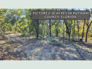 Your slice of peace, space, freedom is in Putnam County FL