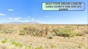 RV? Tiny Home? Cabin? This 0.50 Acre Land Lets You Do It All