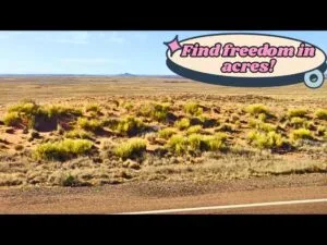 Grab Your 0.24 Acre Dream Land Now For Just $79/Down!