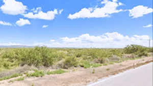 Do Not Ignore This 0.66 Acres Lot. Buy Now For Just $49/Down