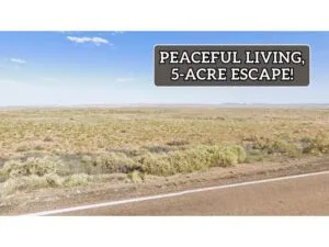 Rare Adjacent Lot Just $199/Down for 5 Acres