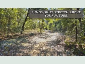Your slice of peace, space, freedom is in Putnam County FL