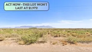 0.55 Acres $49 Down, Land Near Walmart & Raceway