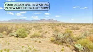 RV? Tiny Home? Cabin? This 0.50 Acre Land Lets You Do It All