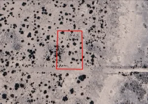 0.52 Acres Near Florida Mountains Wilderness | $100 Down