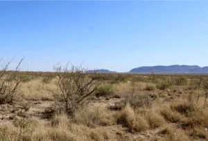 Build Near the Florida Mountains – 0.54 Acres in Deming, NM