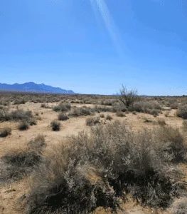 Build Near the Florida Mountains – 0.54 Acres in Deming, NM