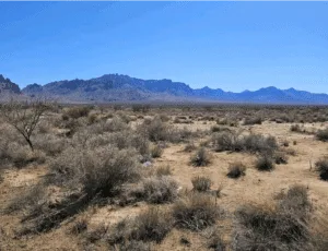 Build Near the Florida Mountains – 0.54 Acres in Deming, NM
