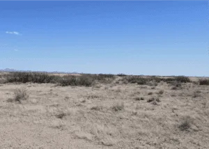 Affordable Land Near Florida Mountains: 0.50 Acres Deming NM