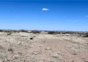 Affordable Land Near Florida Mountains: 0.50 Acres Deming NM