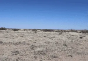 Affordable Land Near Florida Mountains: 0.50 Acres Deming NM