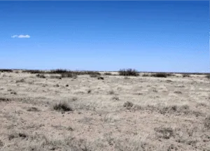 Affordable Land Near Florida Mountains: 0.50 Acres Deming NM