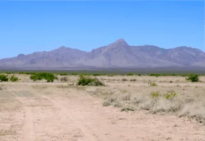 BIG 1.18 acre Deming, NM Land- No Time Limit to Build!