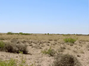 BIG 1.18 acre Deming, NM Land- No Time Limit to Build!