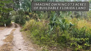 Secure YOUR 0.73 Acre Rare Lot in Putnam County FL For $299/Down