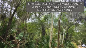 Secure YOUR 0.73 Acre Rare Lot in Putnam County FL For $299/Down