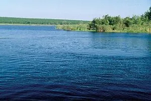 21.5 Acres in Lake County on Lake Apopka with direct access to Apopka Springs.
